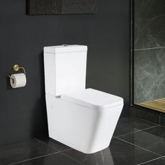 Back To Wall Rimless Toilet Suite Aura