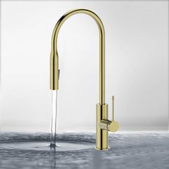 Aziz Pull out Sink Mixer in Brushed Gold PCC1002-BG