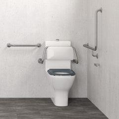 Disabled Toilet Back Rest, Stainless Steel