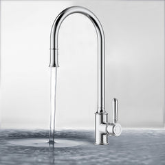 Clasico Pull Out Sink Mixer HYB868-103