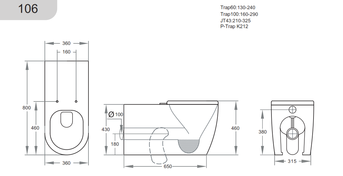 Disabled Compliant Geberit Rimless Toilet Suite With Stainless Steel Colour Buttons
