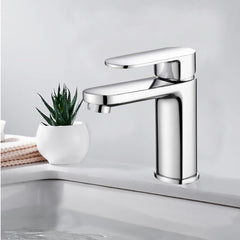 Cora Basin Mixer PBR2001LF