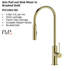 Aziz Pull out Sink Mixer in Brushed Gold PCC1002-BG