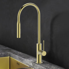 Aziz Pull out Sink Mixer in Brushed Gold PCC1002-BG