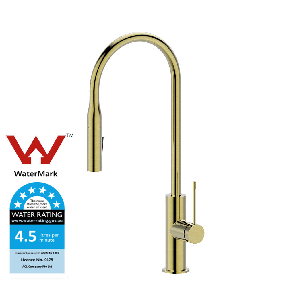 Aziz Pull out Sink Mixer in Brushed Gold PCC1002-BG