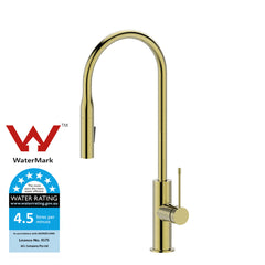 Aziz Pull out Sink Mixer in Brushed Gold PCC1002-BG