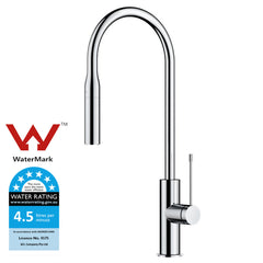 Aziz Pull out Sink Mixer PCC1002