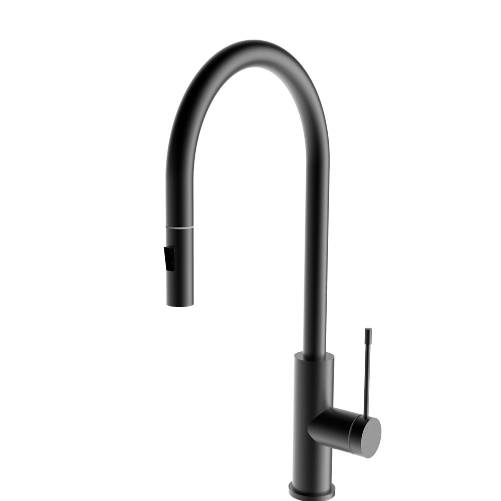 Aziz – II Sink Mixer Pull Out Matte Black - PCC1003MB