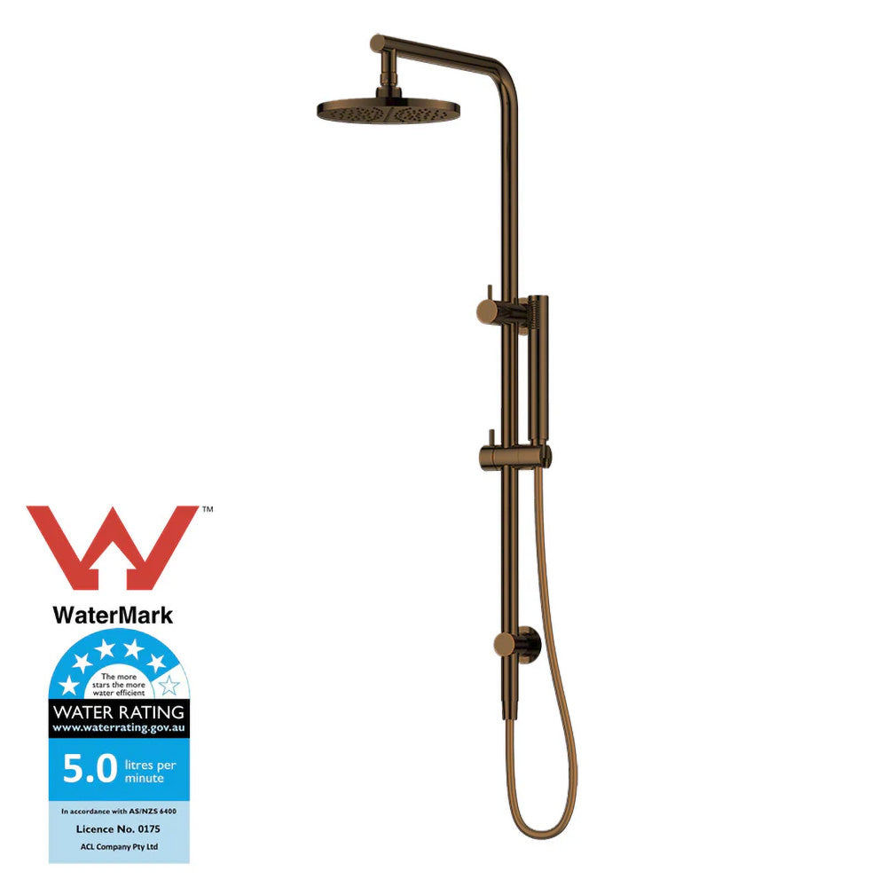 Antique Brass Dual Shower with Diverter WS531F