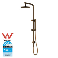 Antique Brass Dual Shower with Diverter WS531F